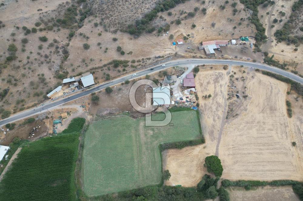 ÇANAKKALE EZİNE CUMHURİYET MAHALLESİNDE SATILIK TARLA