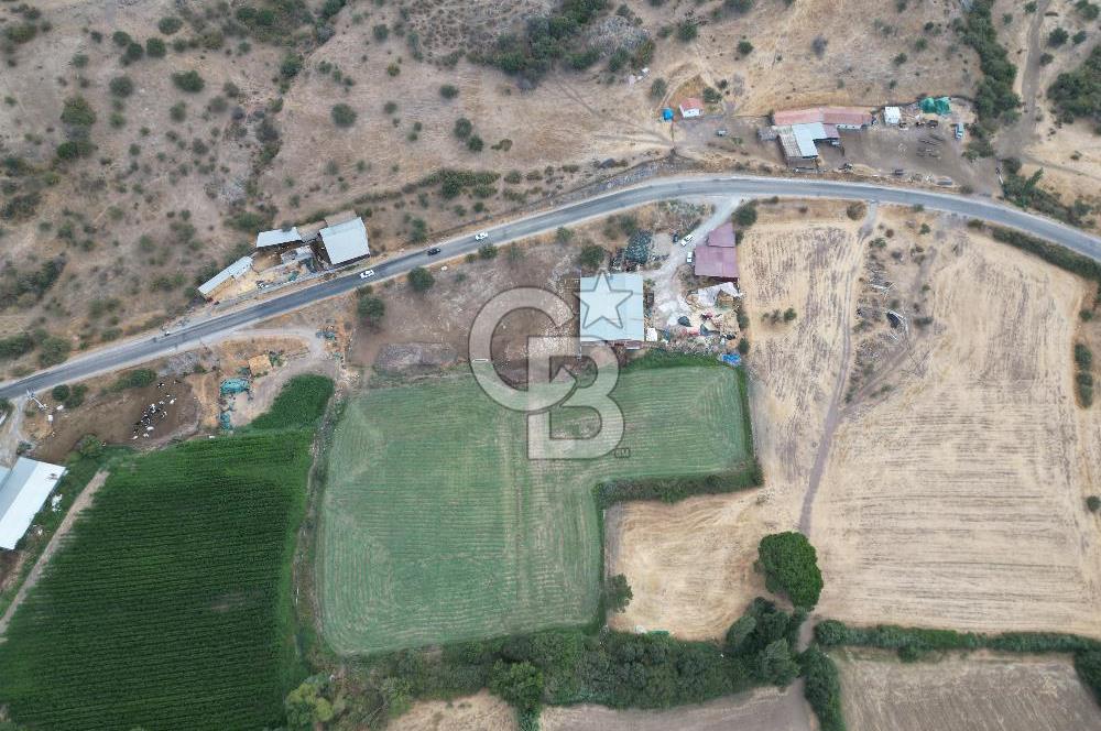 ÇANAKKALE EZİNE CUMHURİYET MAHALLESİNDE SATILIK TARLA
