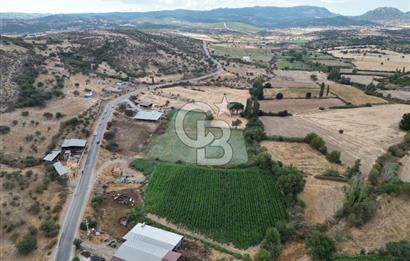 ÇANAKKALE EZİNE CUMHURİYET MAHALLESİNDE SATILIK TARLA