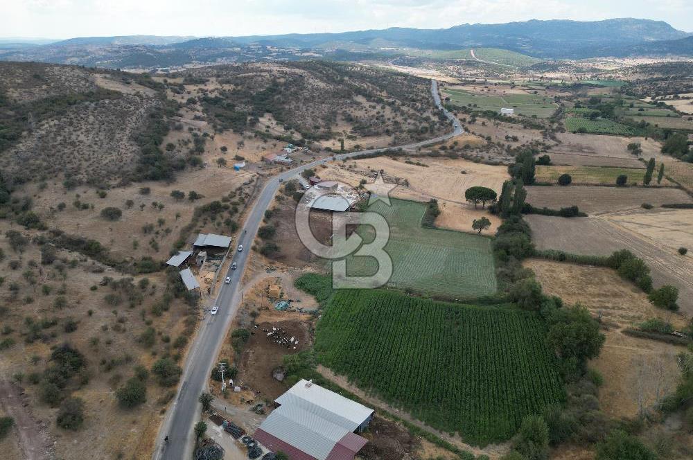 ÇANAKKALE EZİNE CUMHURİYET MAHALLESİNDE SATILIK TARLA