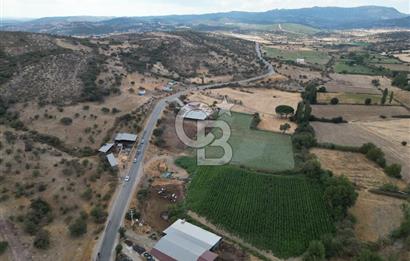 ÇANAKKALE EZİNE CUMHURİYET MAHALLESİNDE SATILIK TARLA