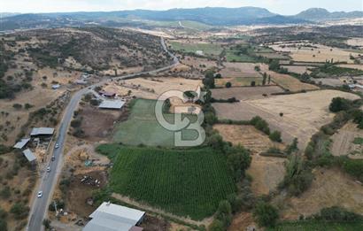 ÇANAKKALE EZİNE CUMHURİYET MAHALLESİNDE SATILIK TARLA