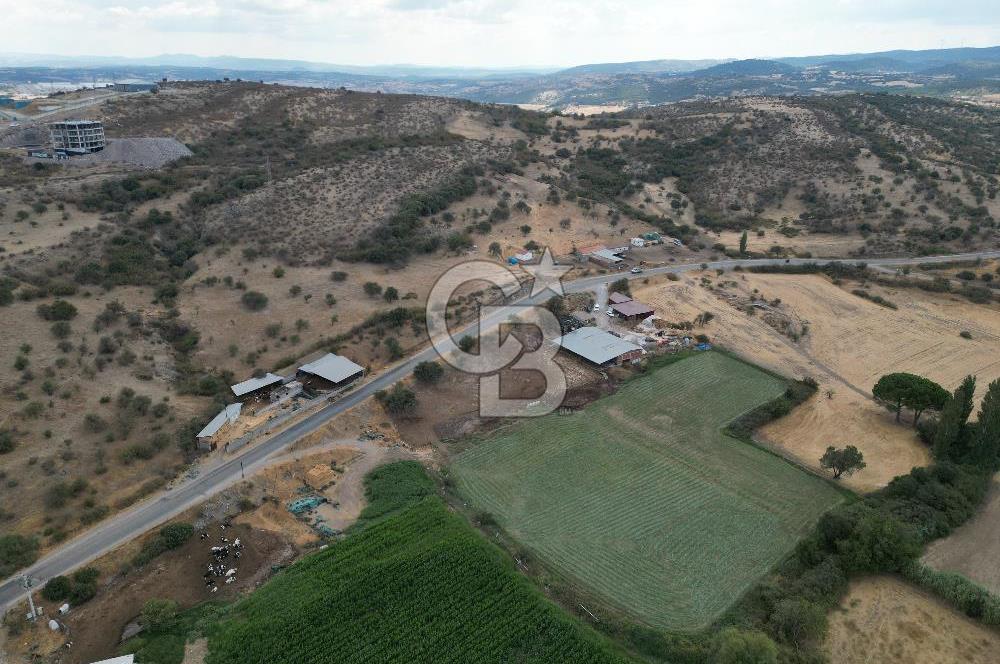ÇANAKKALE EZİNE CUMHURİYET MAHALLESİNDE SATILIK TARLA