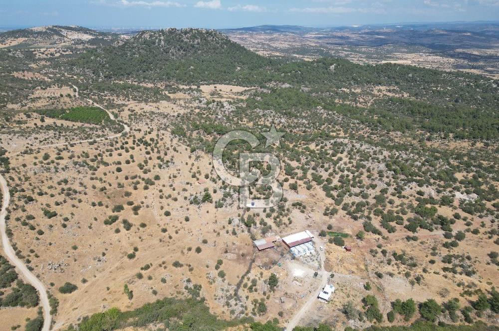 MERKEZ EZİNE ÜSKÜFÇÜ KÖYÜNDE 170 DÖNÜM SATILIK TARLA