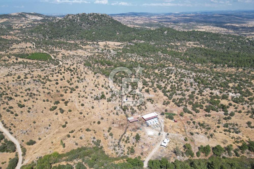 MERKEZ EZİNE ÜSKÜFÇÜ KÖYÜNDE 170 DÖNÜM SATILIK TARLA