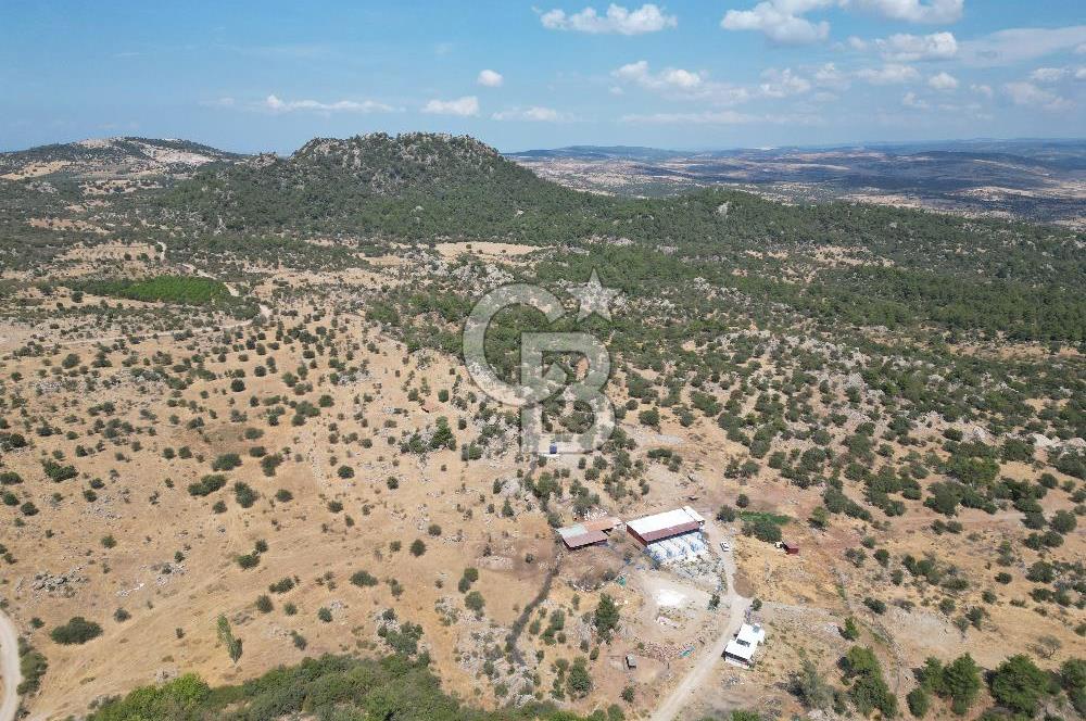 MERKEZ EZİNE ÜSKÜFÇÜ KÖYÜNDE 170 DÖNÜM SATILIK TARLA
