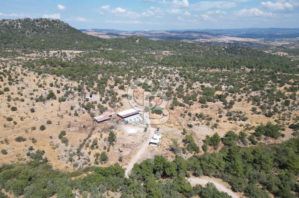 MERKEZ EZİNE ÜSKÜFÇÜ KÖYÜNDE 170 DÖNÜM SATILIK TARLA