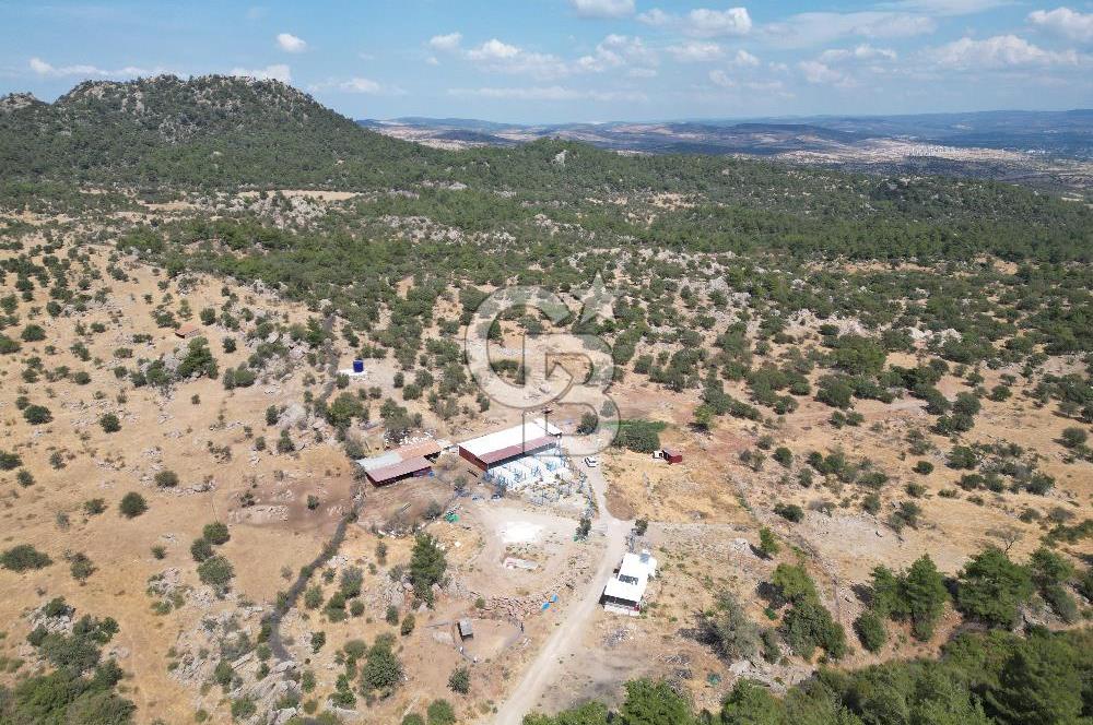 MERKEZ EZİNE ÜSKÜFÇÜ KÖYÜNDE 170 DÖNÜM SATILIK TARLA