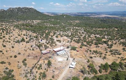 MERKEZ EZİNE ÜSKÜFÇÜ KÖYÜNDE 170 DÖNÜM SATILIK TARLA
