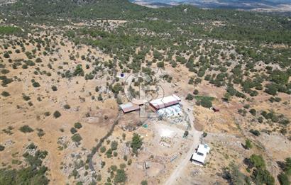 MERKEZ EZİNE ÜSKÜFÇÜ KÖYÜNDE 170 DÖNÜM SATILIK TARLA
