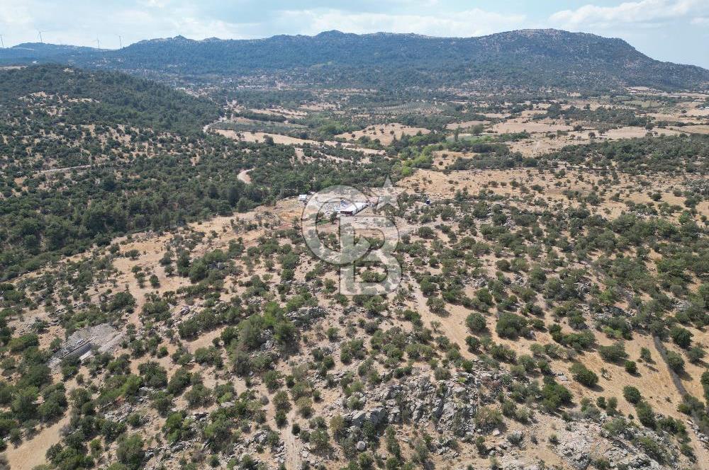 MERKEZ EZİNE ÜSKÜFÇÜ KÖYÜNDE 170 DÖNÜM SATILIK TARLA
