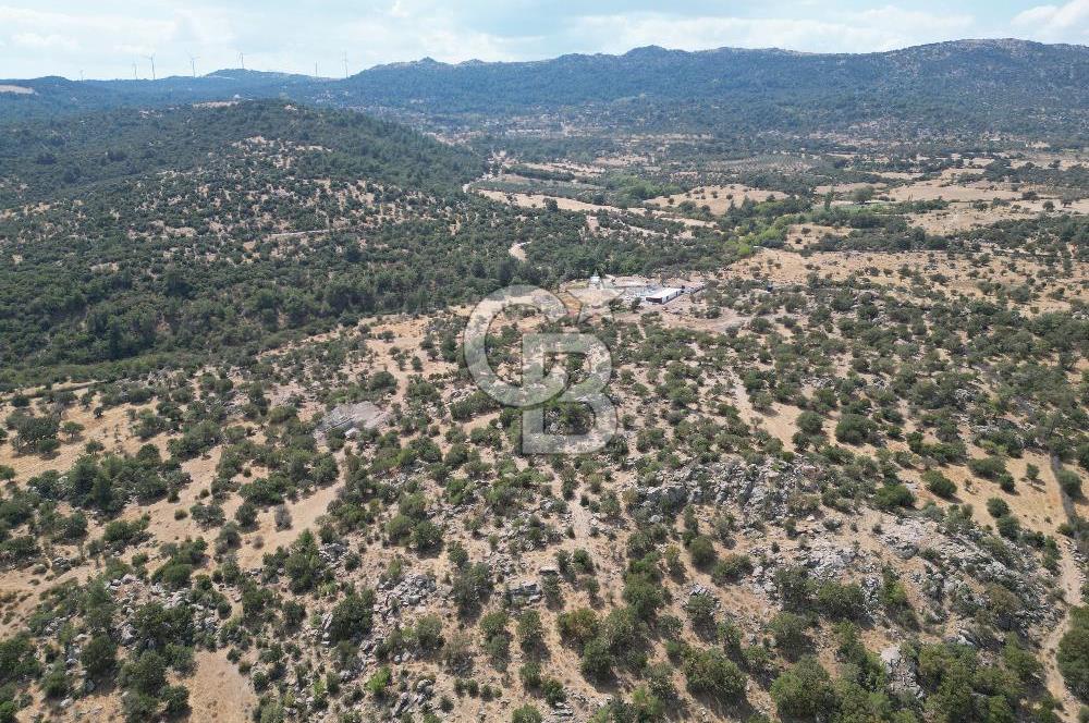 MERKEZ EZİNE ÜSKÜFÇÜ KÖYÜNDE 170 DÖNÜM SATILIK TARLA