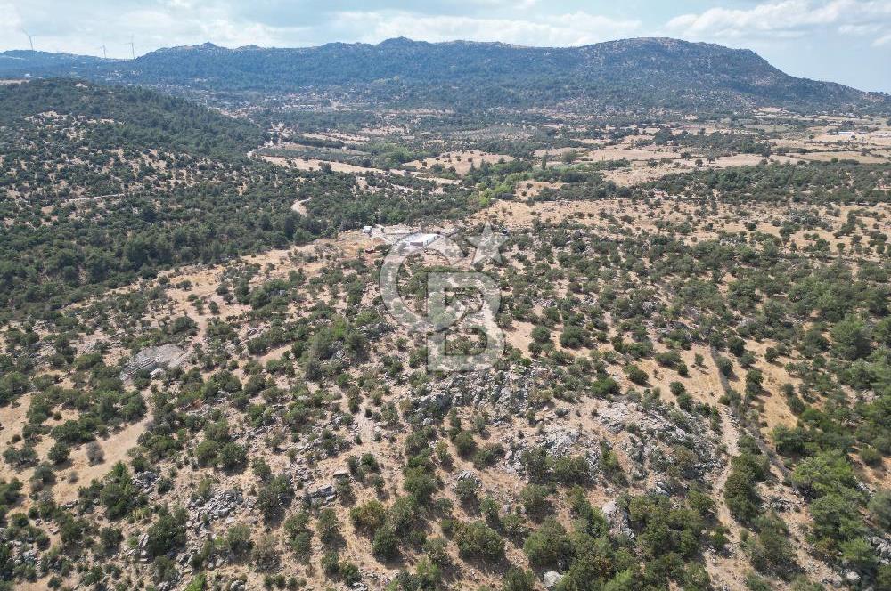 MERKEZ EZİNE ÜSKÜFÇÜ KÖYÜNDE 170 DÖNÜM SATILIK TARLA