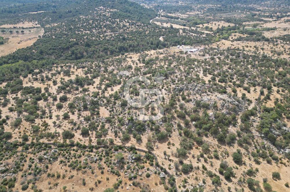 MERKEZ EZİNE ÜSKÜFÇÜ KÖYÜNDE 170 DÖNÜM SATILIK TARLA