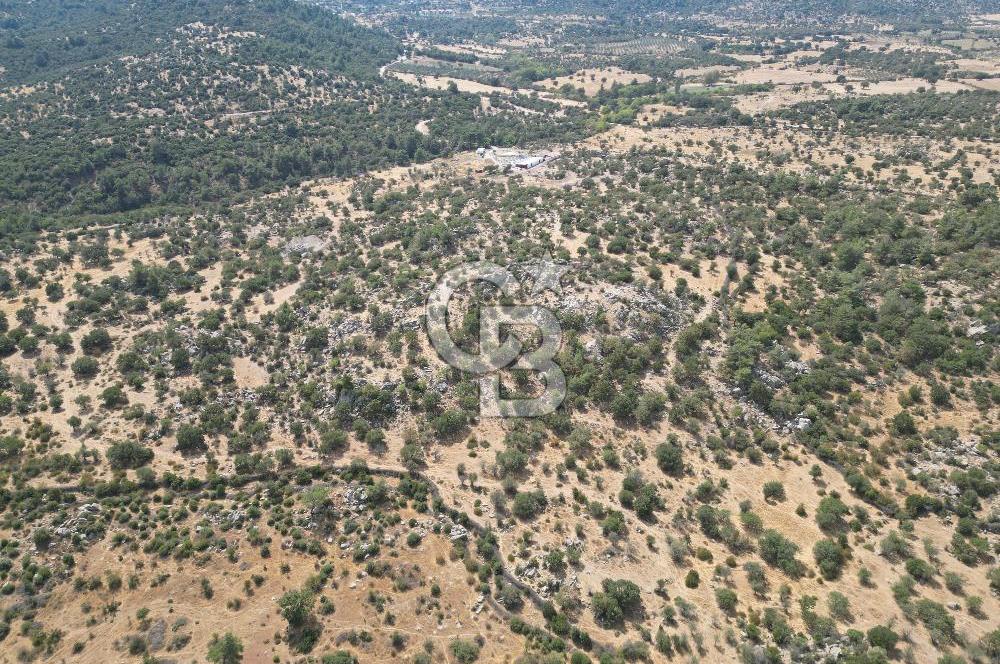 MERKEZ EZİNE ÜSKÜFÇÜ KÖYÜNDE 170 DÖNÜM SATILIK TARLA