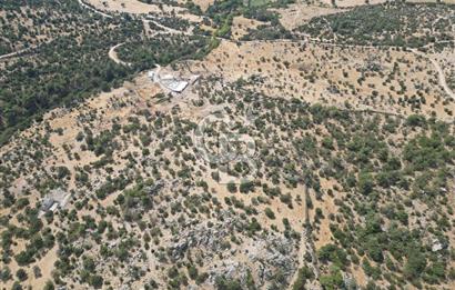 MERKEZ EZİNE ÜSKÜFÇÜ KÖYÜNDE 170 DÖNÜM SATILIK TARLA