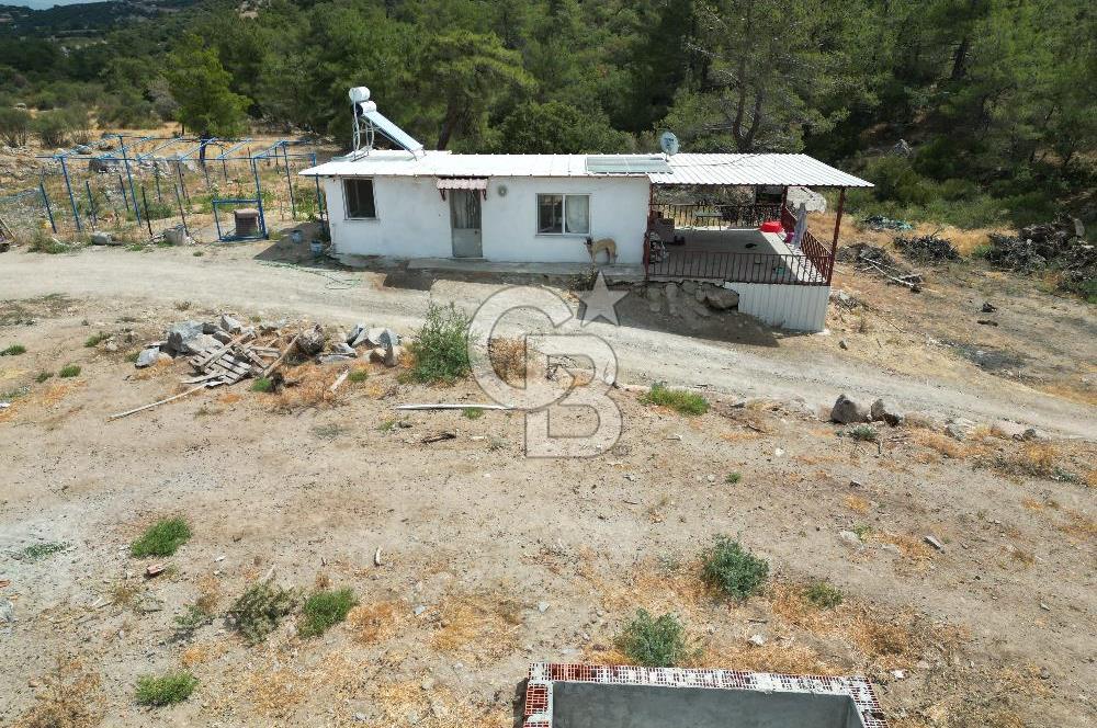 MERKEZ EZİNE ÜSKÜFÇÜ KÖYÜNDE 170 DÖNÜM SATILIK TARLA