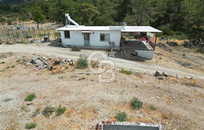 MERKEZ EZİNE ÜSKÜFÇÜ KÖYÜNDE 170 DÖNÜM SATILIK TARLA