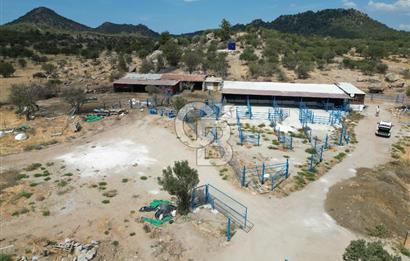 MERKEZ EZİNE ÜSKÜFÇÜ KÖYÜNDE 170 DÖNÜM SATILIK TARLA