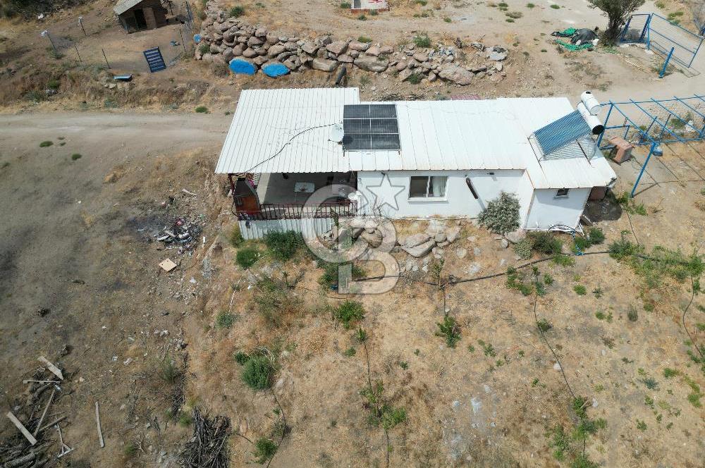 MERKEZ EZİNE ÜSKÜFÇÜ KÖYÜNDE 170 DÖNÜM SATILIK TARLA