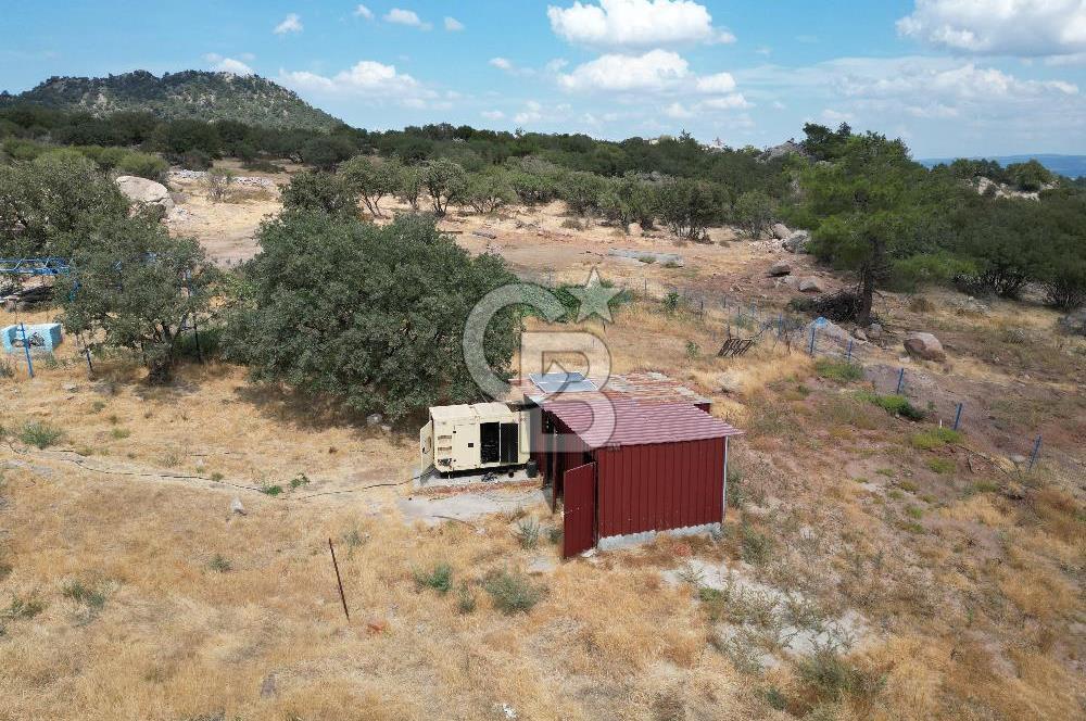MERKEZ EZİNE ÜSKÜFÇÜ KÖYÜNDE 170 DÖNÜM SATILIK TARLA