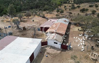 MERKEZ EZİNE ÜSKÜFÇÜ KÖYÜNDE 170 DÖNÜM SATILIK TARLA
