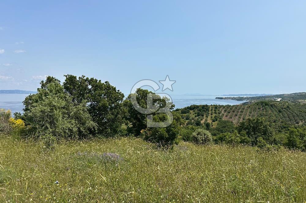 Çanakkale Ayvacık 