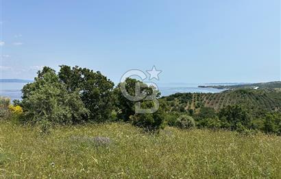 Çanakkale Ayvacık 