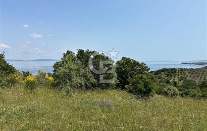 Çanakkale Ayvacık 