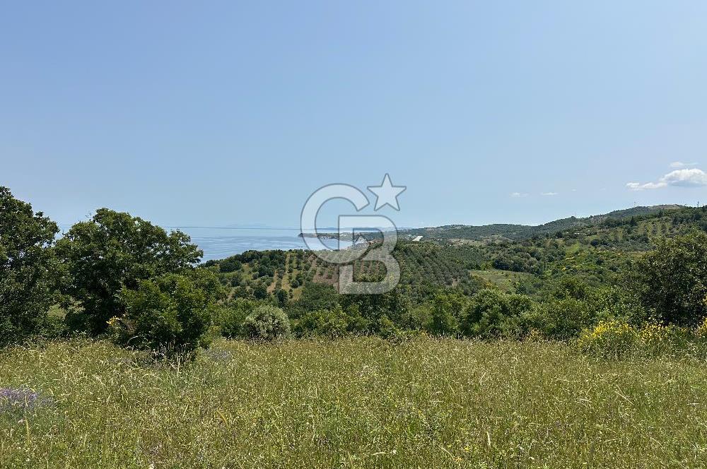 Çanakkale Ayvacık 
