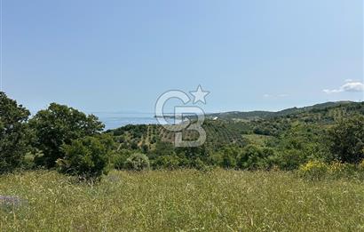 Çanakkale Ayvacık 