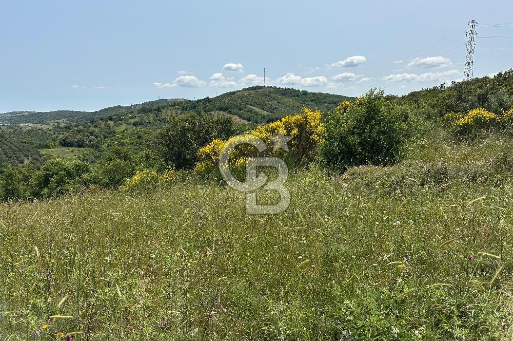 Çanakkale Ayvacık 