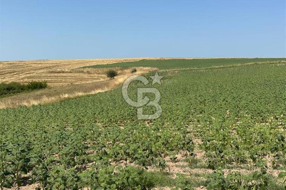 Satılık Fırsat Tarla