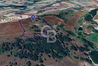 CB KiNG'DEN KADASTRAL YOLU OLAN SATILIK 20 DÖNÜM TARLA