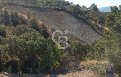 Bergama'da Köye Yürüme Mesafesinde Satılık Fırsat Tarla