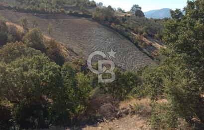 Bergama'da Köye Yürüme Mesafesinde Satılık Fırsat Tarla