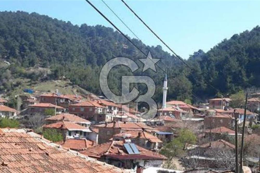 Bergama'da Köye Yürüme Mesafesinde Satılık Fırsat Tarla