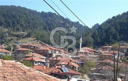 Bergama'da Köye Yürüme Mesafesinde Satılık Fırsat Tarla