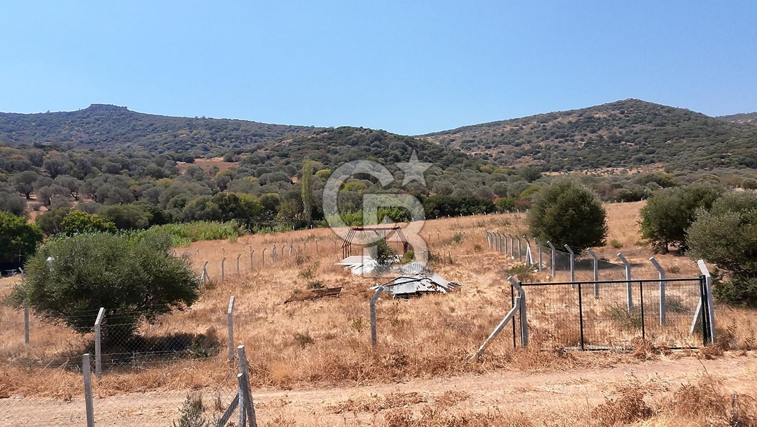 Foça Yenibağarası Satılık Tarla