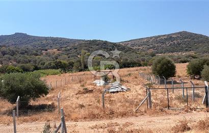 Foça Yenibağarası Satılık Tarla