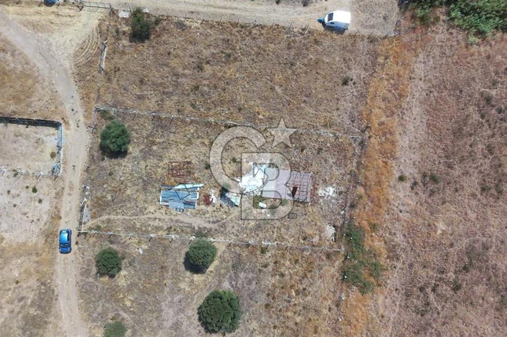Foça Yenibağarası Satılık Tarla