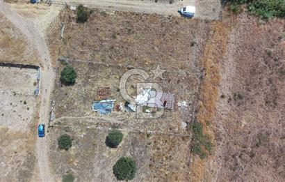 Foça Yenibağarası Satılık Tarla