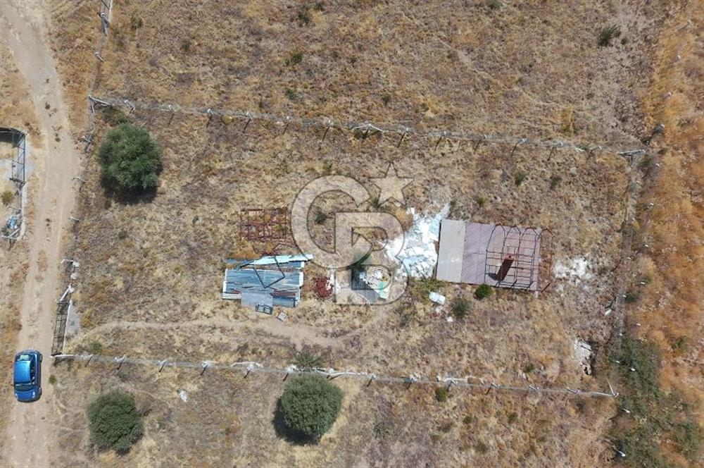 Foça Yenibağarası Satılık Tarla