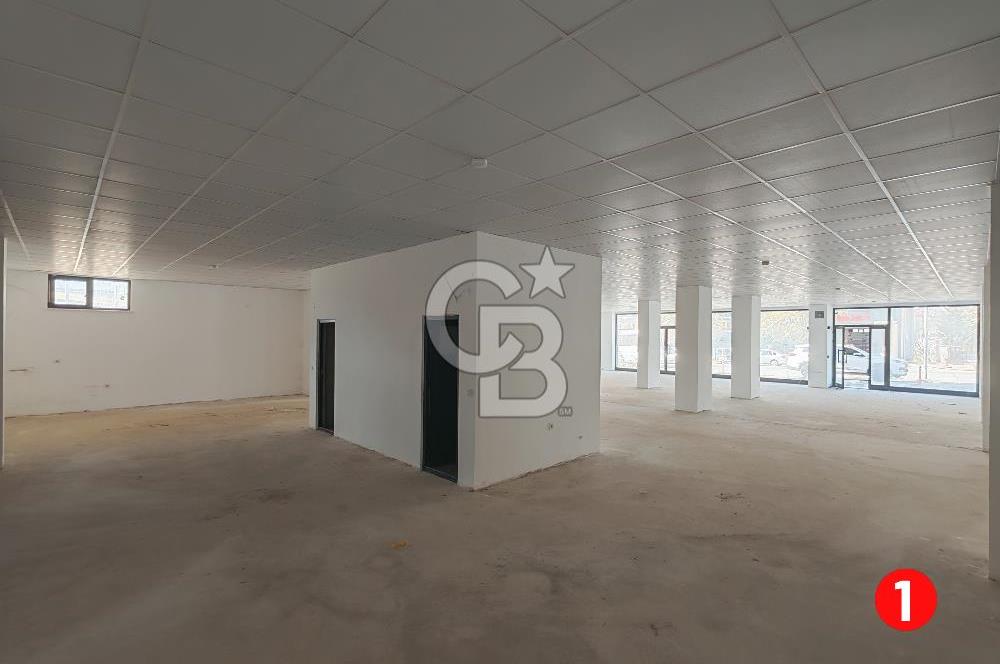 Barış Mh Dr.Zeki Acar Cd KİRALIK Toplam 784 m2 Üç Dükkan