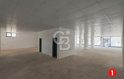 Barış Mh Dr.Zeki Acar Cd KİRALIK Toplam 784 m2 Üç Dükkan