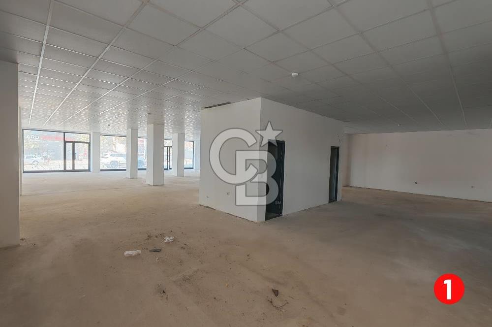 Barış Mh Dr.Zeki Acar Cd KİRALIK Toplam 784 m2 Üç Dükkan