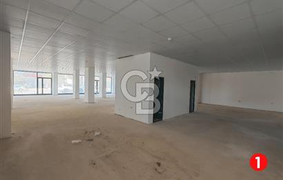 Barış Mh Dr.Zeki Acar Cd KİRALIK Toplam 784 m2 Üç Dükkan