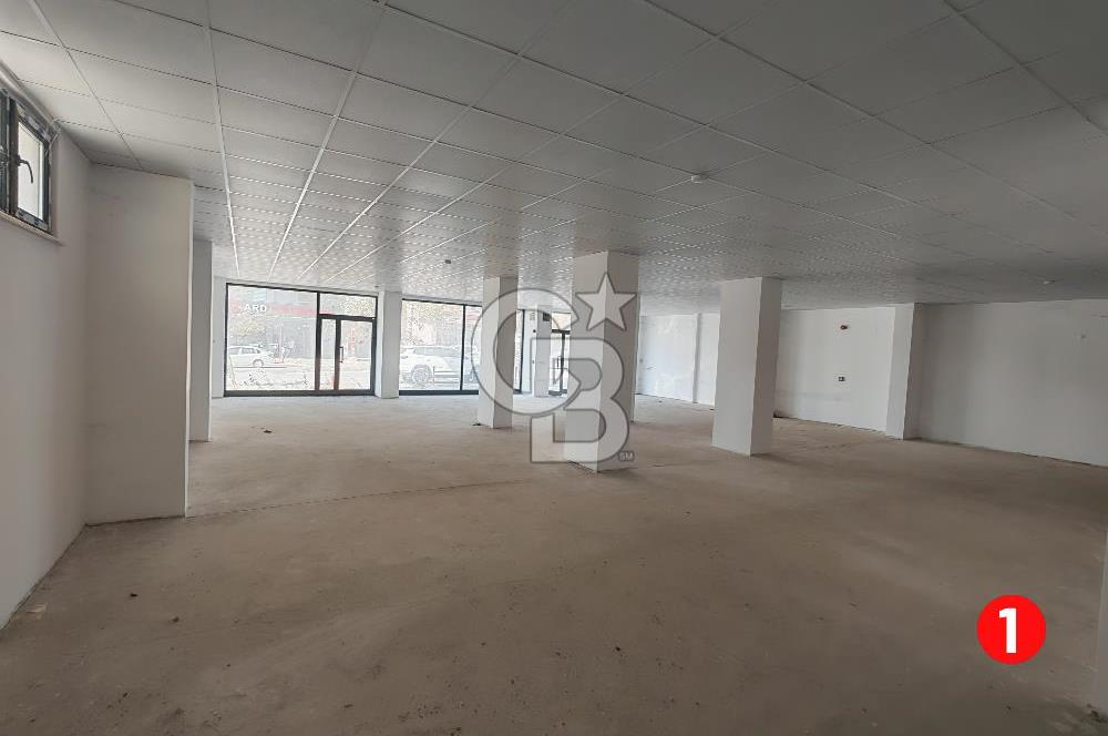 Barış Mh Dr.Zeki Acar Cd KİRALIK Toplam 784 m2 Üç Dükkan