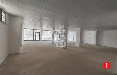 Barış Mh Dr.Zeki Acar Cd KİRALIK Toplam 784 m2 Üç Dükkan