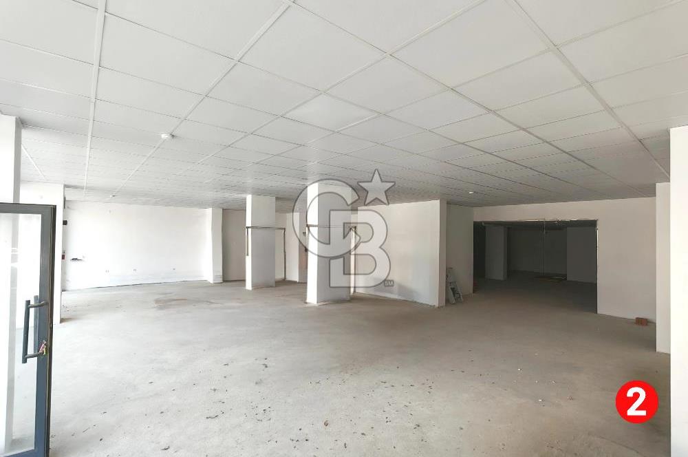 Barış Mh Dr.Zeki Acar Cd KİRALIK Toplam 784 m2 Üç Dükkan